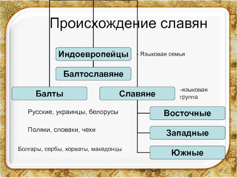К какой языковой семье относятся ханты. Языковая группа. Языковая семья славян. Белорусы языковая семья. Восточные славяне языковая группа.