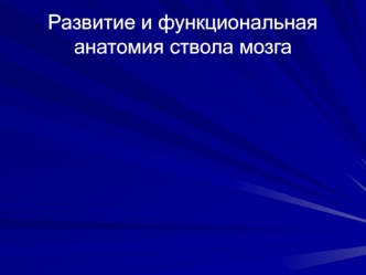 Развитие и функциональная анатомия ствола мозга