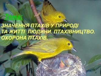 Значення птахів у природі та житті людини. Птахівництво. Охорона птахів