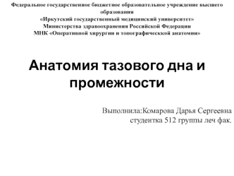 Топографическая анатомия таза и промежности