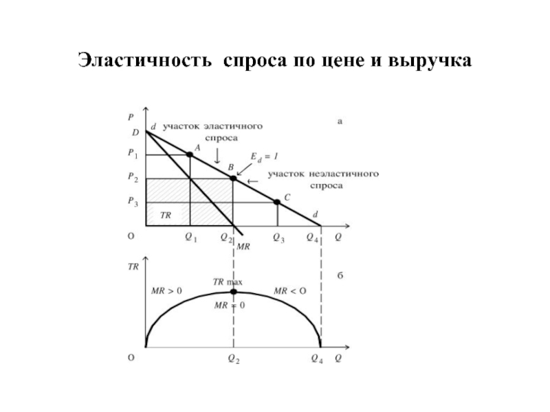 Зависимость выручки от спроса. Выручка и эластичность спроса. Эластичность выручки по цене. Эластичность спроса по цене график. Эластичность спроса по цене и выручка.