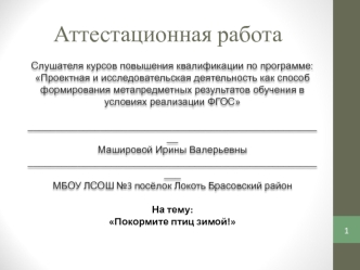 Аттестационная работа. Покормите птиц зимой