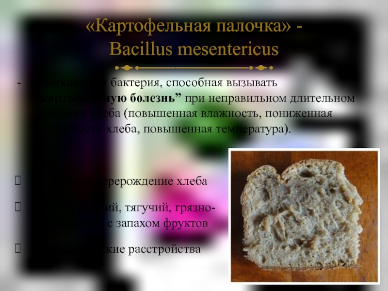 Повышенная кислотность хлеба