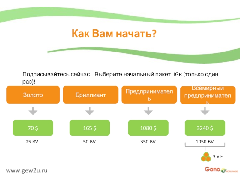 Выберите начальную. Гано эксель маркетинг план. Симбиоз маркетинг план. Классический маркетинговый план. Маркетинг Компани gano.