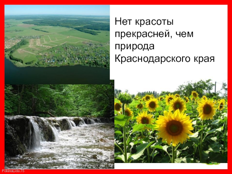 Природа краснодарского края проект