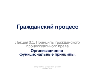 презентация 3.1. организационно-функциональные принципы