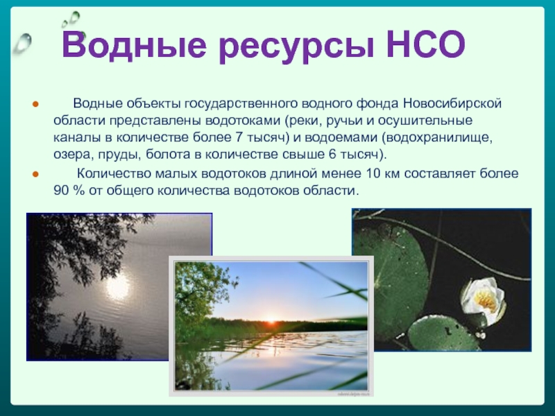Какие водные объекты находятся в новосибирской области. Водные ресурсы НСО. Природные ресурсы НСО. Водоёмы Новосибирской области. Водные объекты Новосибирской области.
