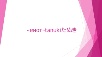 Енот. Tanuki. たぬき