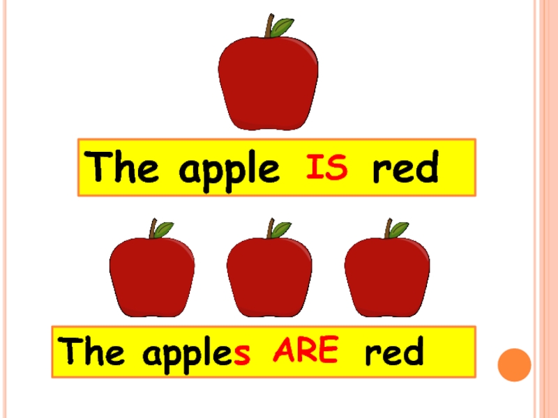 1 this is apple. The Apple is Red. Apples is или are. This is an Apple the Apple is Red. Apple Apples plurals.