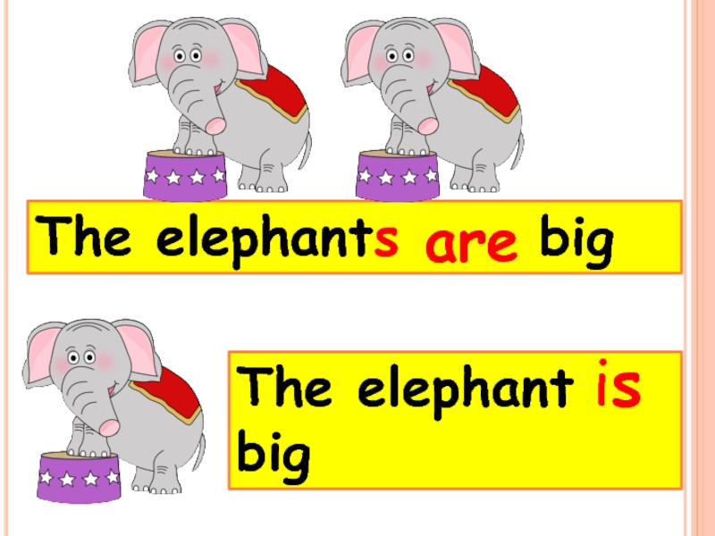 The elephant is mine