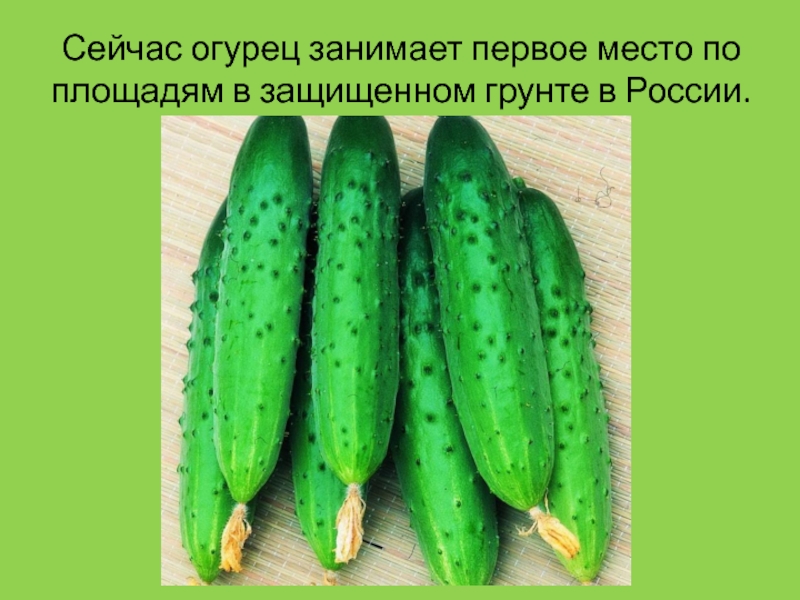 Мастурбирует огурцом в машине