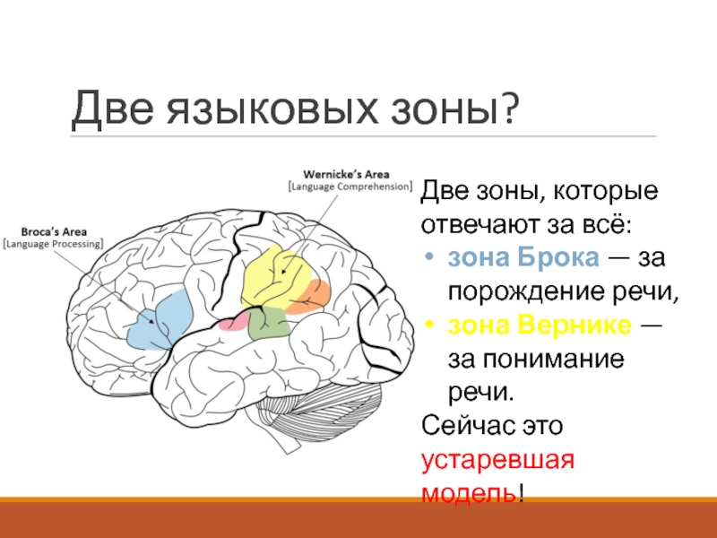 Зона брока и вернике. Зона Вернике. Зона Вернике отвечает за. Зона Вернике заболевания.