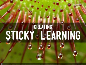 Creating Sticky Learning in Adult Education