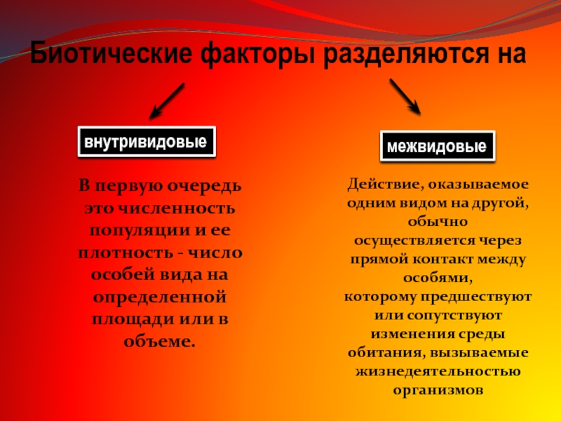 Презентация по биологии биотические факторы