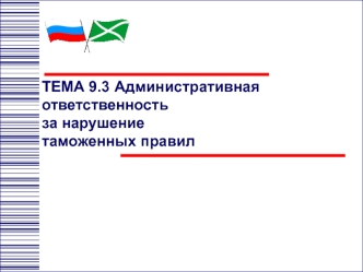 Административная ответственность за нарушение таможенных правил