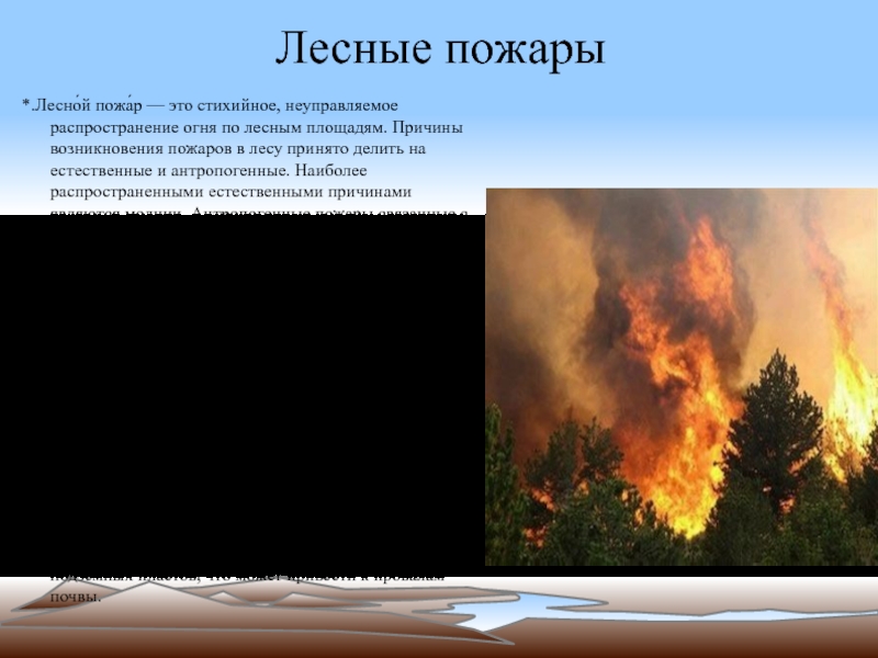 Распространение огня. Естественные причины лесных пожаров. Естественные причины пожара в лесу. Причины возгорания лесов. Пожар в лесу причины возникновения лесных пожаров.