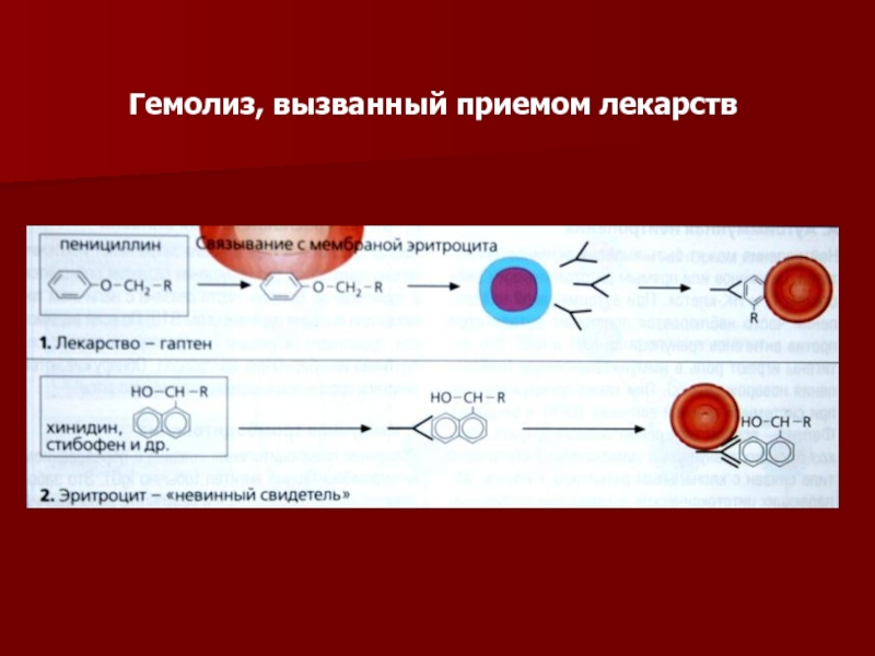 Гемолиз образцов крови