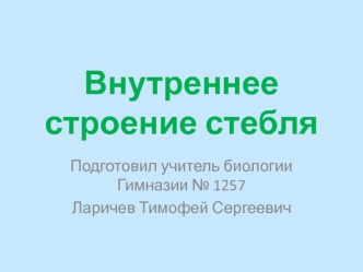 Внутреннее строение стебля