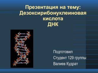 Дезоксирибонуклеиновая кислота ДНК