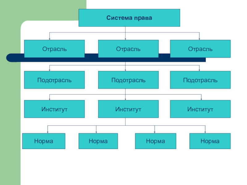 Система отрасли. Норма институт отрасль подотрасль. Подотрасль права структура. Отрасль и подотрасль права. Отрасль права подотрасль права институт права.