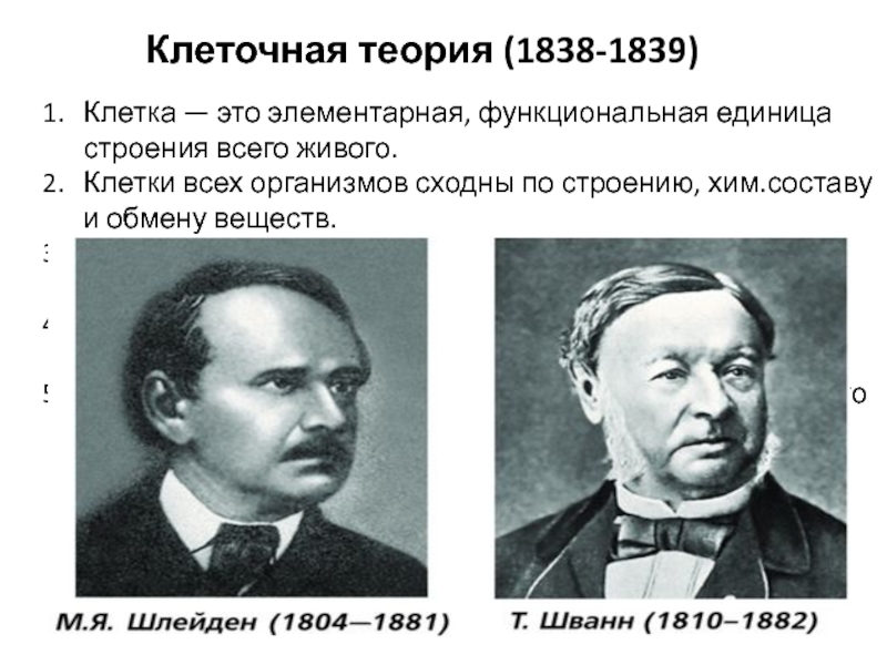 Согласно клеточной теории. Клеточная теория 1838-1839 основные положения. Клеточная теория Шванна и Шлейдена 1838-1839. Суть клеточной теории. Клеточная теория фото.