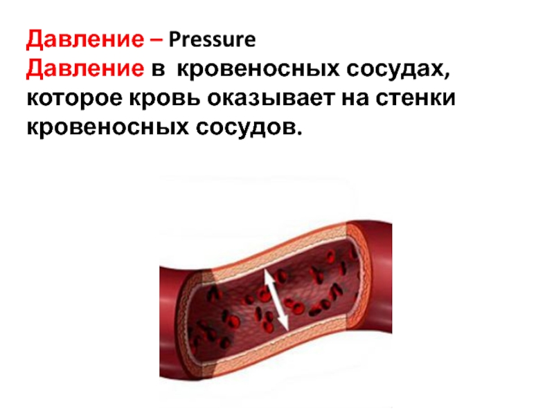 Расширение артериальных сосудов. Кровяное давление в сосудах. Кровяное давление в кровеносных сосудах. Стенки кровеносных сосудов. Давление крови в сосудах.