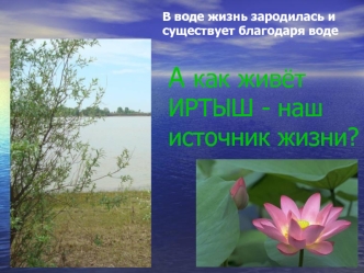 Экологические проблемы реки Иртыш