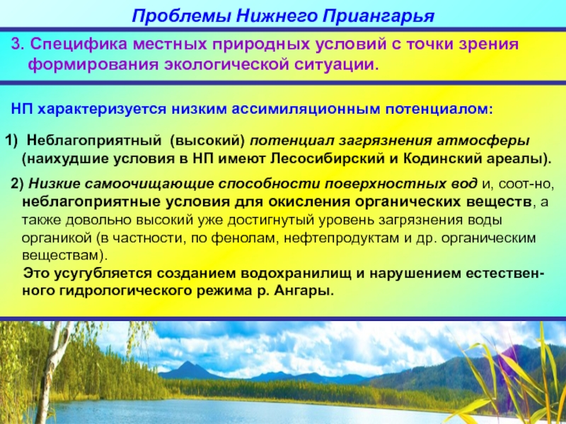 Особенности места. Проект нижнее Приангарье. Экономическая оценка ассимиляционного потенциала окружающей среды. Ассимиляционный потенциал окружающей среды. Ассимиляционный потенциал биосферы.