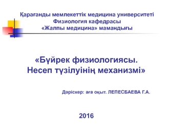 Бүйрек физиологиясы. Несеп түзілуінің механизмі