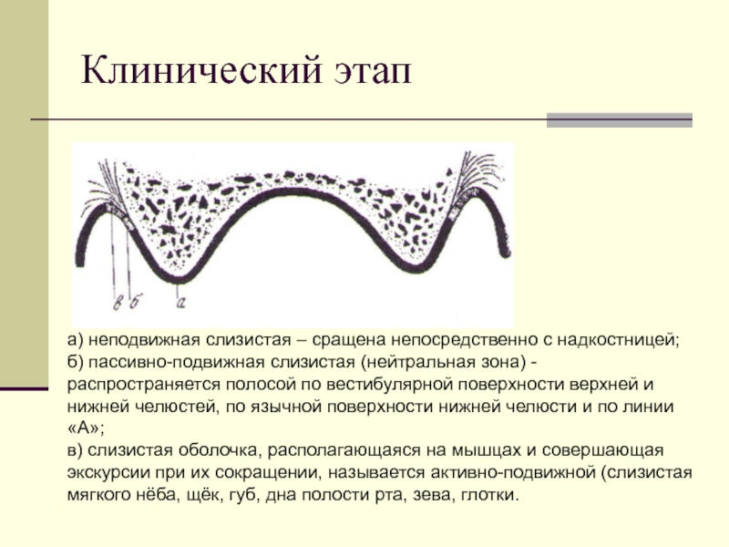 Нейтральная зона