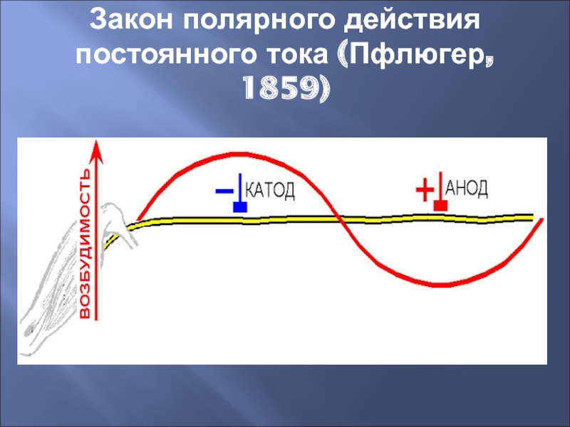 Постоянное действие