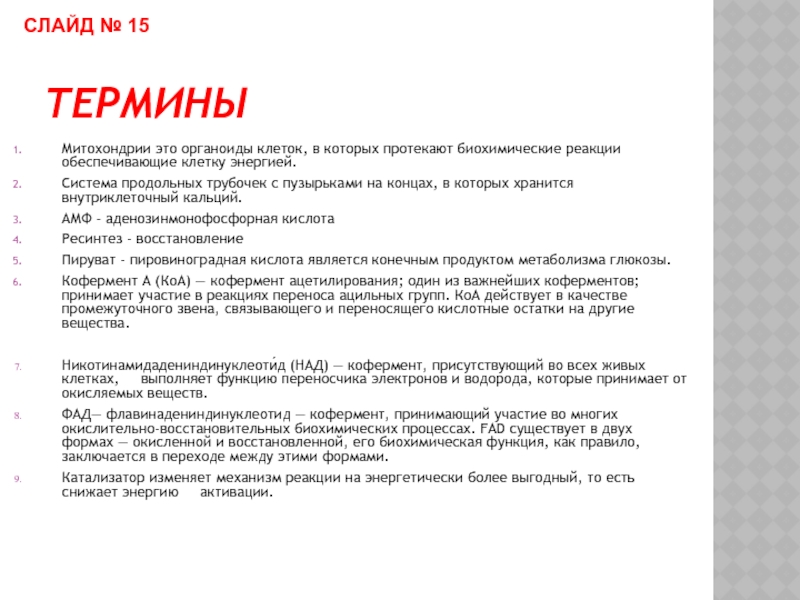 Термины 18