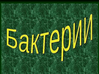 Бактерии. Виды бактерий