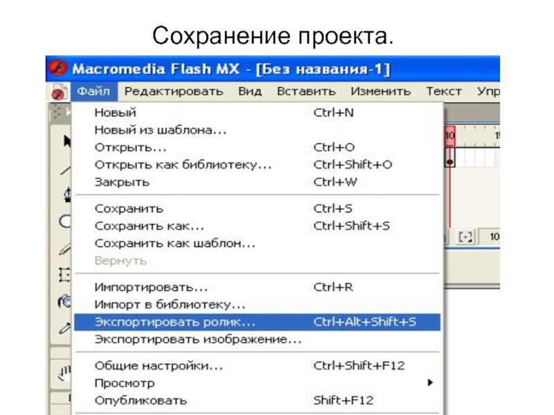 Форматы flash. Формат презентаций Flash. Проектирование звуковых файлов с использованием Flash-технологии. Как сохранить Project в pdf. Технология Flash dose.