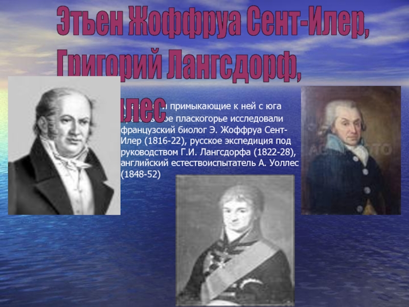 Исследователи южной америки сообщение. Исследования сент Илер. Уоллес биолог открыл. Философия анатомии 1818 1822 Жоффруа.