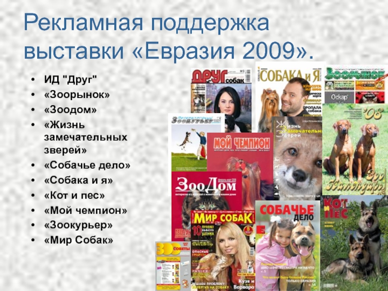 Рекламная поддержка выставки «Евразия 2009». ИД 