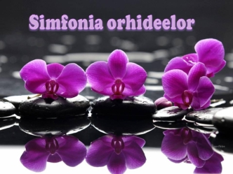 Simfonia orhideelor