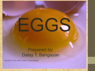 EGGS