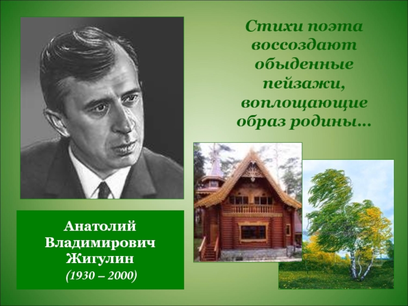 Биография жигулина для 4 класса. Стихотворение Анатолия Владимировича Жигулина о Родина. Стихи Анатолии Владимирович Жигулин.