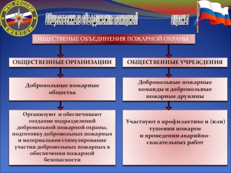 ОБЩЕСТВЕНЫЕ ОБЪЕДИНЕНИЯ ПОЖАРНОЙ ОХРАНЫ