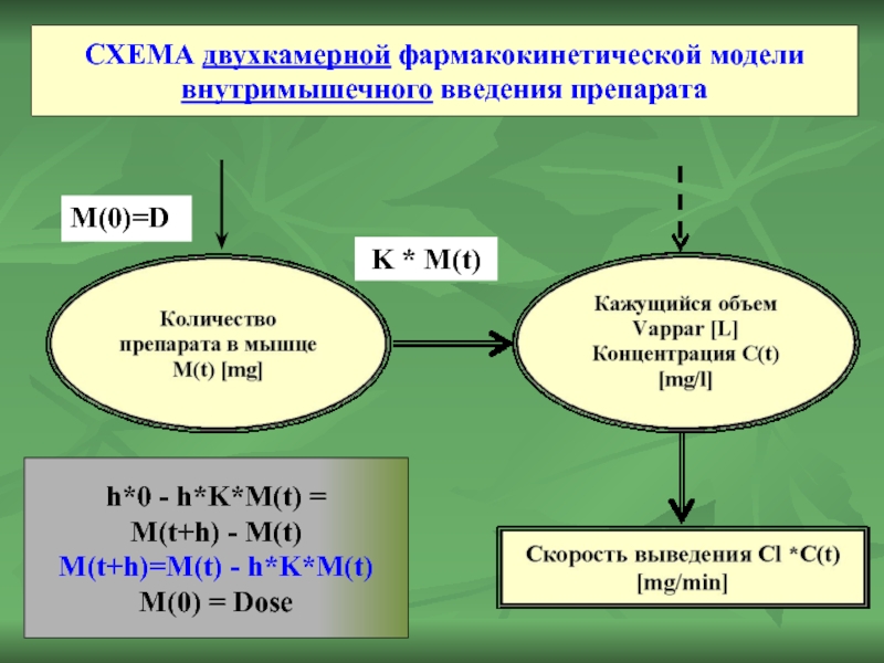 СХЕМА двухкамерной фармакокинетической модели внутримышечного введения препарата M(0)=D K * M(t) h*0