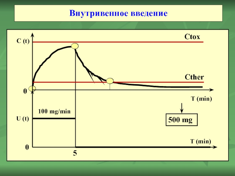 5 100 mg/min Внутривенное введение