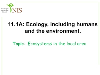 Ecosystems in the local area