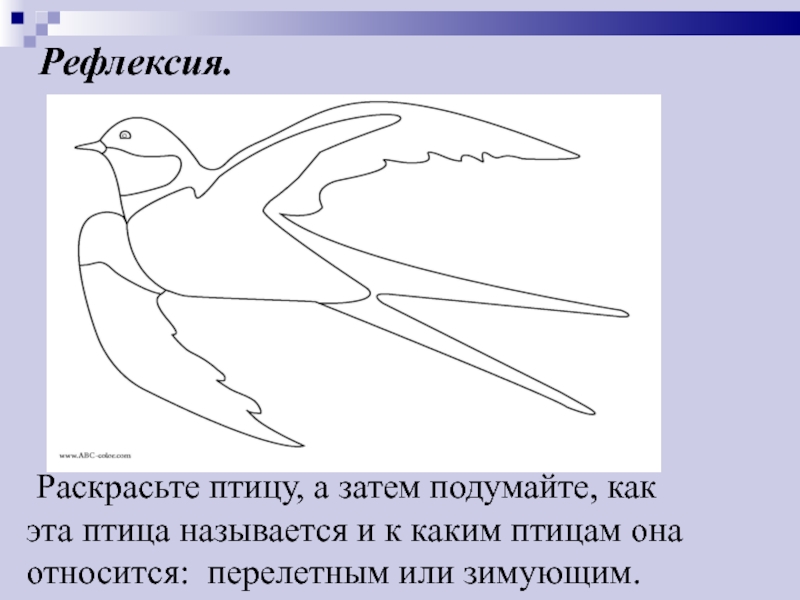 Определи птиц на рисунке. Рефлексия с птицами. Ласточка задания для детей. Строение перелетных птиц. Части тела зимующих птиц.