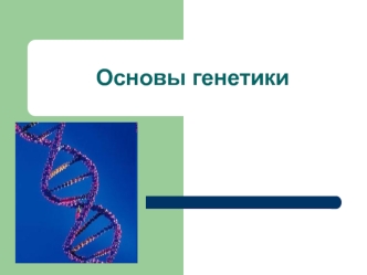 Основы генетики. Модификационная изменчивость