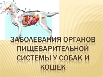 Заболевания органов пищеварительной системы у собак и кошек