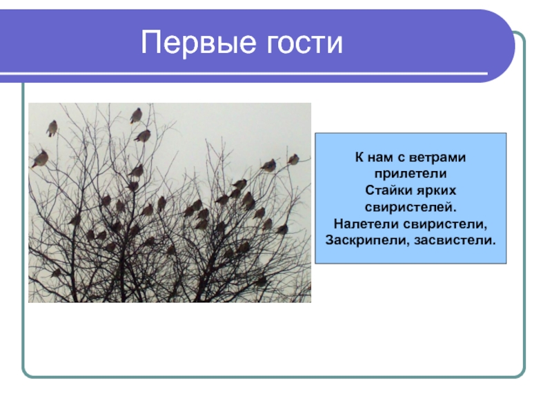 И кораблик подгоняет он бежит себе в волнах на раздутых парусах. Прилетел ветер. Свойства ветра для дошкольников. Предложение со словом ворона. По синему морю к зелёной земле.