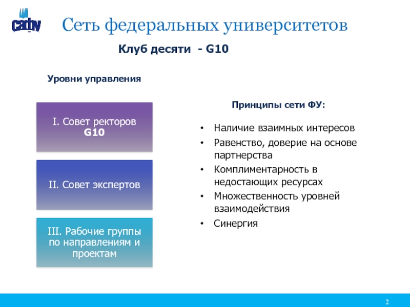 Основа синергия. СИНЕРГИЯ проекта это.