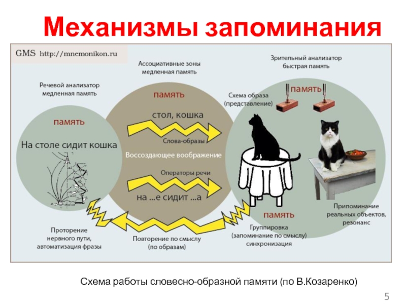 Схема запоминания информации