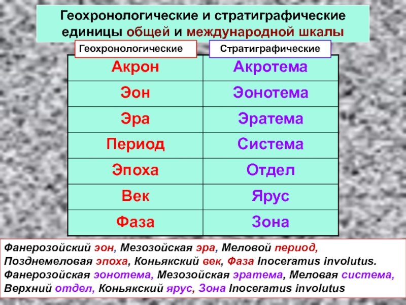 Суммарная единица. Эон эонотема. Эон эонотема Эра эратема период система. Фанерозойская система. Меловой основной и переходный периоды.